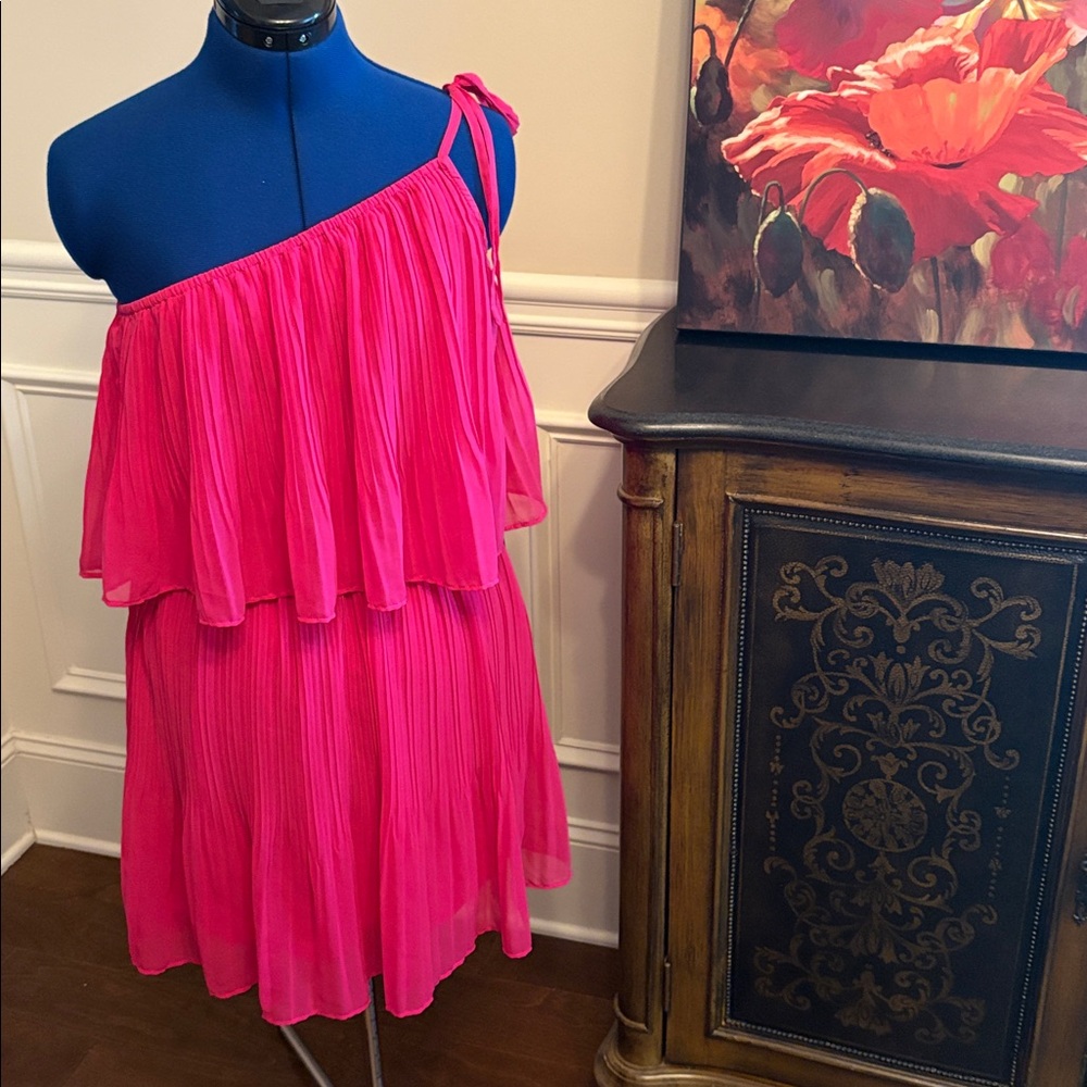 NWT pleaded dress